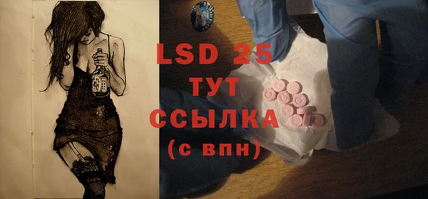 индика Семикаракорск