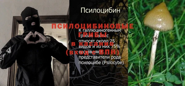 ECSTASY Семилуки