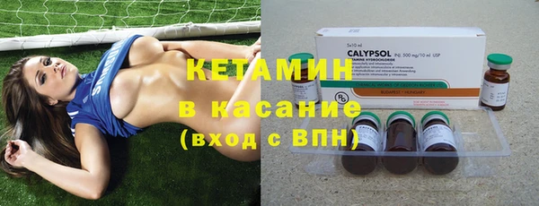 индика Семикаракорск