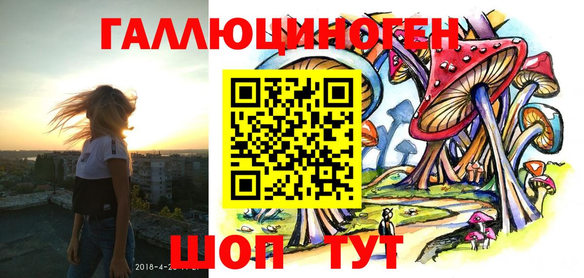 Галлюциногенные грибы Psilocybe  Сосновоборск 