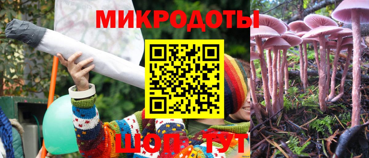 Псилоцибиновые грибы GOLDEN TEACHER  Вход с VPN  Псилоцибиновые грибы Psilocybine cubensis  Сосновоборск 