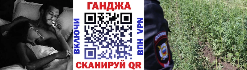 Бошки Шишки ГИДРОПОН  Сосновоборск 